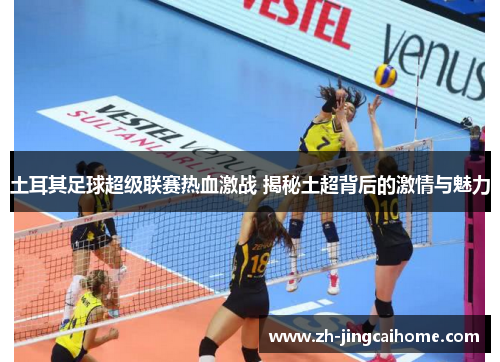 土耳其足球超级联赛热血激战 揭秘土超背后的激情与魅力